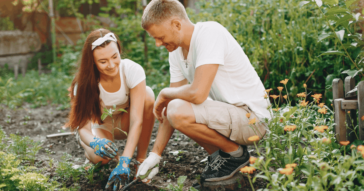 Young man and woman gardening